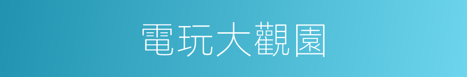 電玩大觀園的同義詞