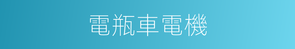 電瓶車電機的同義詞