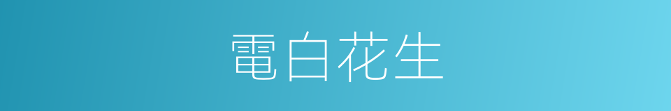 電白花生的同義詞