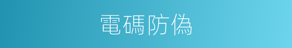 電碼防偽的同義詞