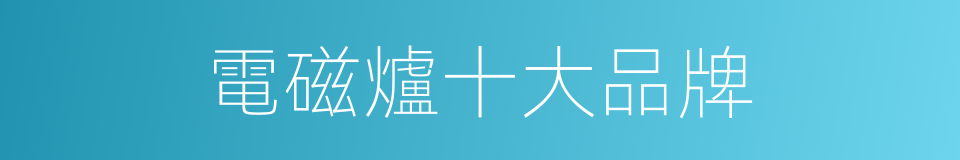 電磁爐十大品牌的同義詞