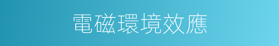 電磁環境效應的同義詞