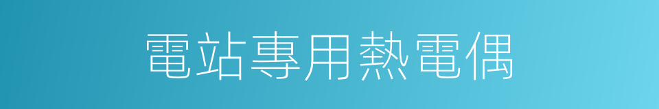 電站專用熱電偶的同義詞