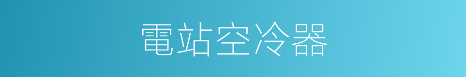 電站空冷器的同義詞