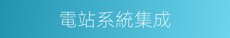 電站系統集成的同義詞