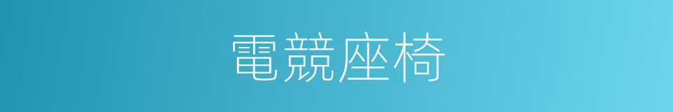 電競座椅的同義詞