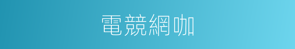 電競網咖的同義詞