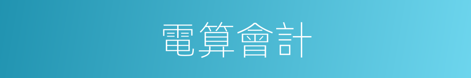 電算會計的同義詞