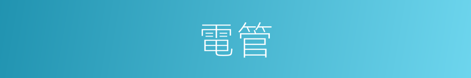 電管的同義詞