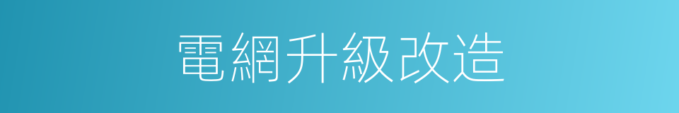 電網升級改造的同義詞