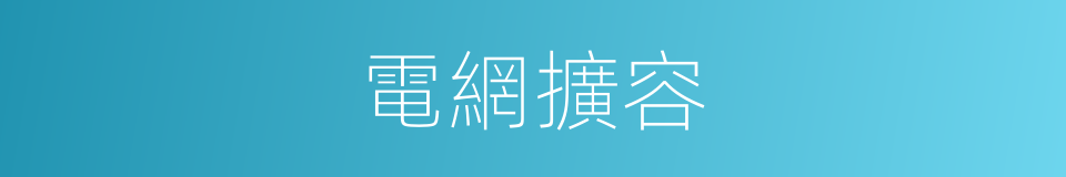 電網擴容的同義詞