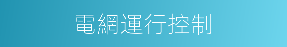 電網運行控制的同義詞