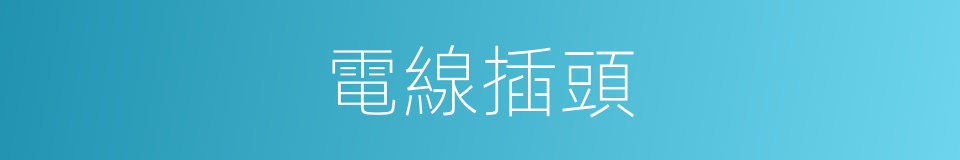 電線插頭的同義詞
