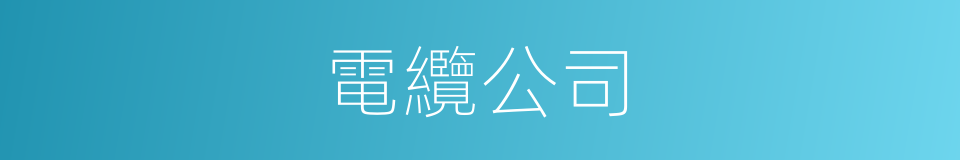 電纜公司的同義詞