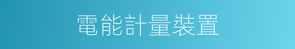 電能計量裝置的同義詞