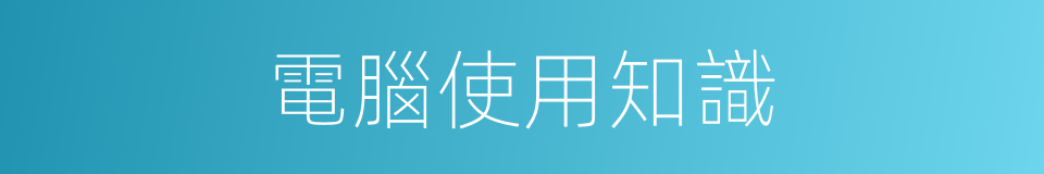 電腦使用知識的同義詞