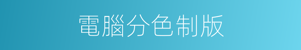 電腦分色制版的同義詞