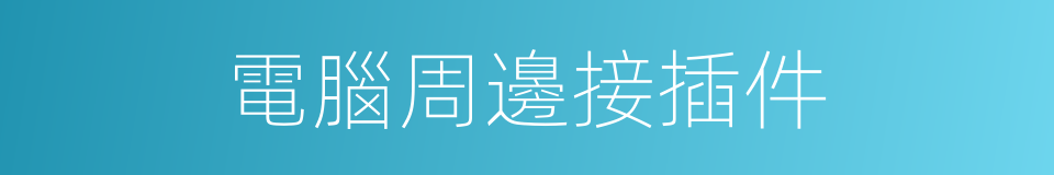 電腦周邊接插件的同義詞