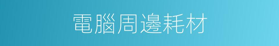 電腦周邊耗材的同義詞