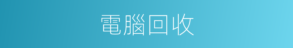 電腦回收的同義詞