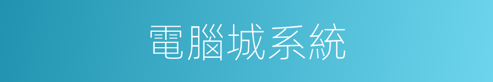 電腦城系統的同義詞