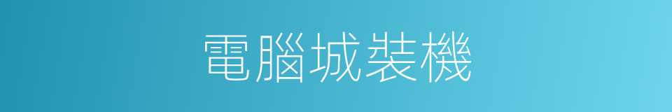 電腦城裝機的同義詞