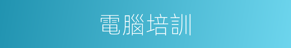 電腦培訓的同義詞