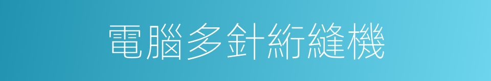 電腦多針絎縫機的同義詞