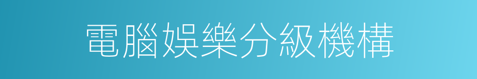 電腦娛樂分級機構的同義詞