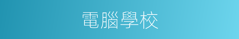 電腦學校的同義詞