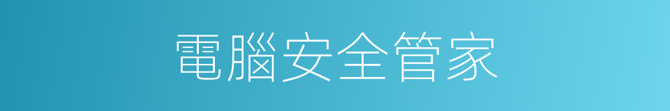 電腦安全管家的同義詞