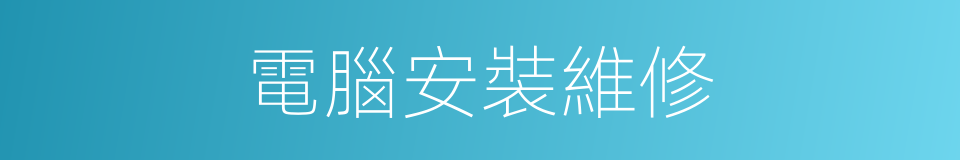 電腦安裝維修的同義詞