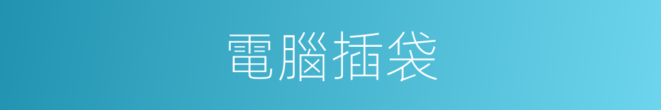 電腦插袋的同義詞