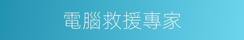 電腦救援專家的同義詞
