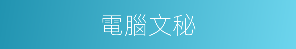 電腦文秘的同義詞