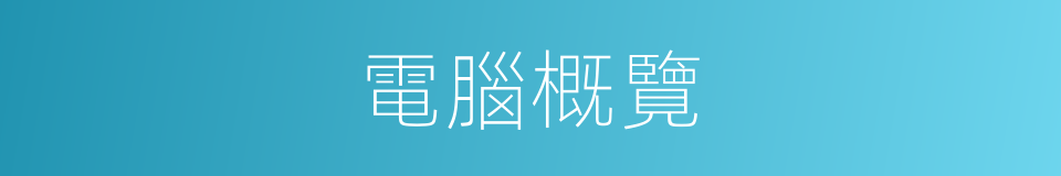 電腦概覽的同義詞