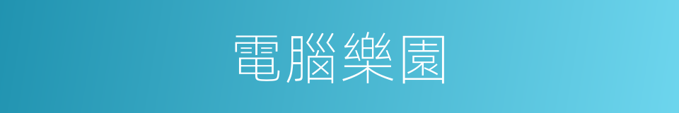 電腦樂園的同義詞