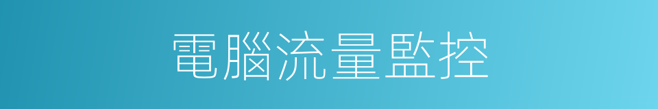 電腦流量監控的同義詞