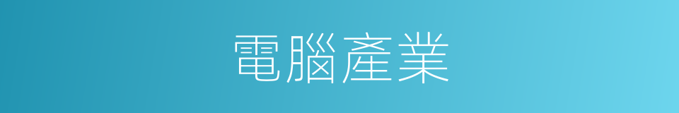 電腦產業的同義詞