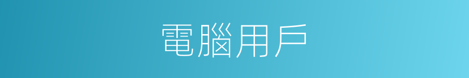 電腦用戶的同義詞