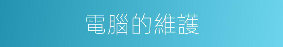 電腦的維護的同義詞