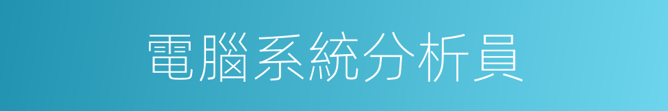 電腦系統分析員的同義詞