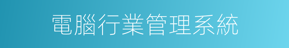 電腦行業管理系統的同義詞