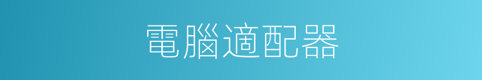 電腦適配器的同義詞