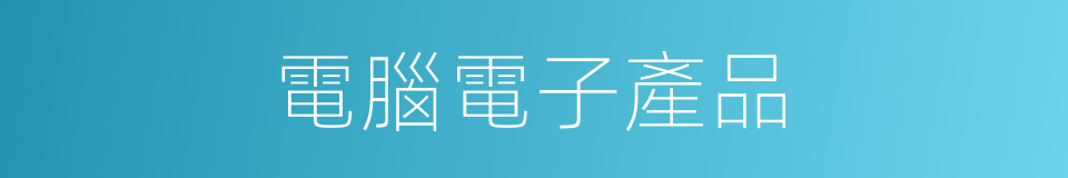 電腦電子產品的同義詞