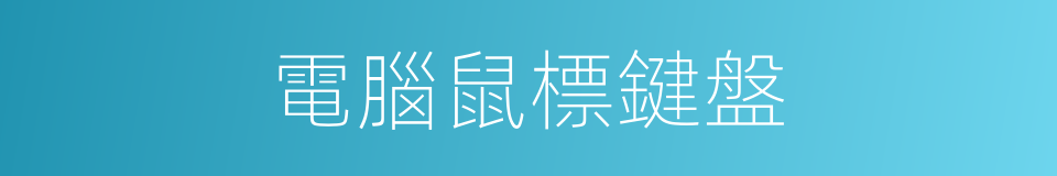 電腦鼠標鍵盤的同義詞