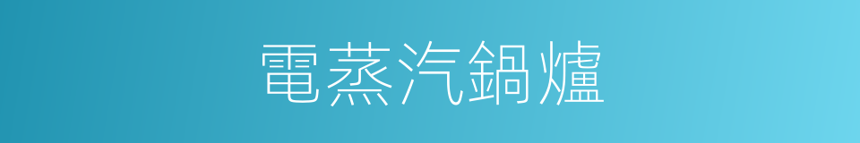 電蒸汽鍋爐的同義詞