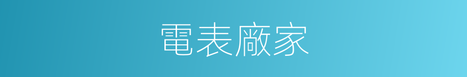 電表廠家的同義詞