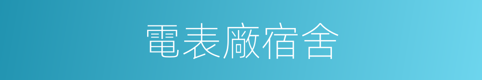 電表廠宿舍的同義詞