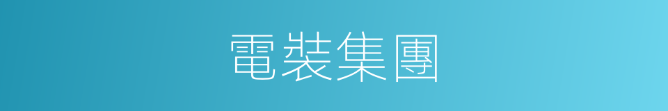 電裝集團的同義詞